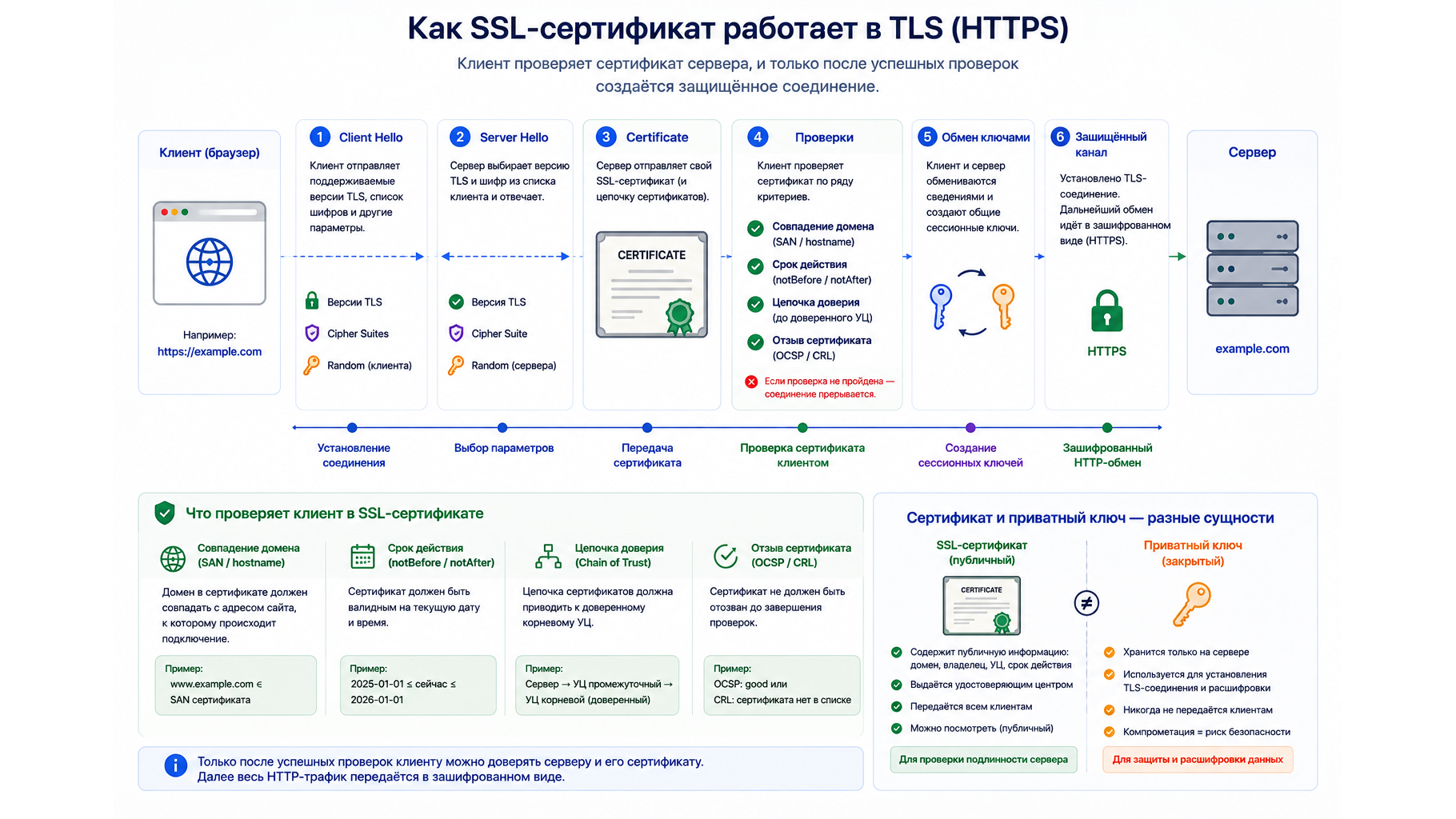 Схема роли SSL-сертификата в TLS: клиент проверяет hostname, срок действия и цепочку доверия перед HTTPS