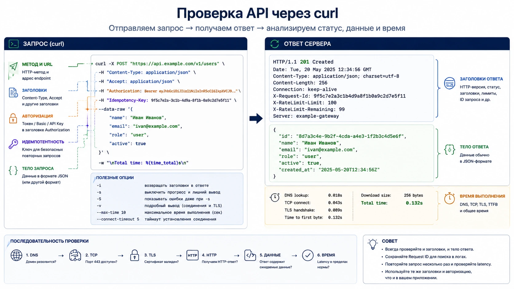 Схема проверки API через curl: метод, заголовки, авторизация, HTTP-код, JSON и время ответа