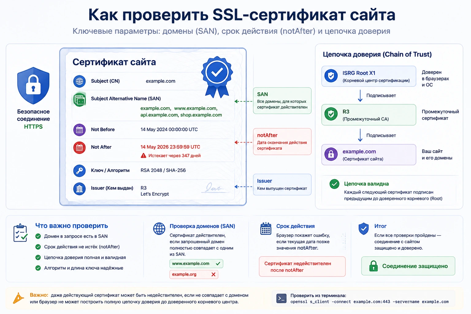 Проверка SSL-сертификата сайта: доменное имя, цепочка доверия и срок действия